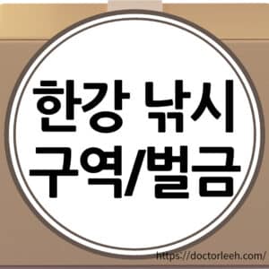 한강 낚시의 모든 것: 한강 낚시할 수 있는 곳, 금지행위 및 벌금(최고 300만원), 물고기 종류